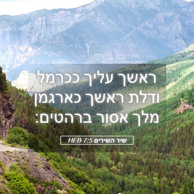 Picture 05 - שיר השירים 7:5 HEB - ראשך עליך ככרמל ודלת ראשך - Bible Verse Picture
