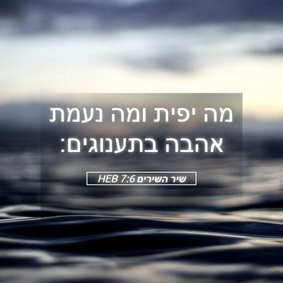 Picture 05 - שיר השירים 7:6 HEB - מה יפית ומה נעמת אהבה - Bible Verse Picture