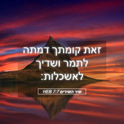 Picture 05 - שיר השירים 7:7 HEB - זאת קומתך דמתה לתמר ושדיך - Bible Verse Picture