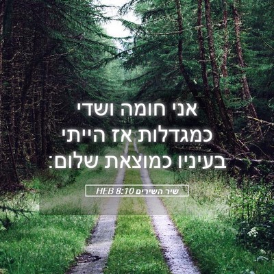 Picture 05 - שיר השירים 8:10 HEB - אני חומה ושדי כמגדלות אז - Bible Verse Picture