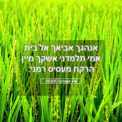 Picture 05 - שיר השירים 8:2 HEB - אנהגך אביאך אל בית אמי - Bible Verse Picture