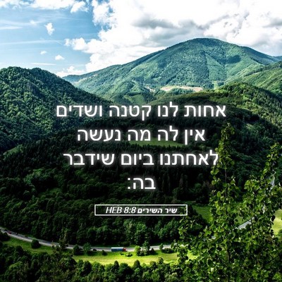 Picture 05 - שיר השירים 8:8 HEB - אחות לנו קטנה ושדים אין לה - Bible Verse Picture