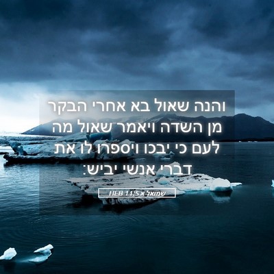 Picture 05 - שמואל א 11:5 HEB - והנה שאול בא אחרי הבקר מן - Bible Verse Picture