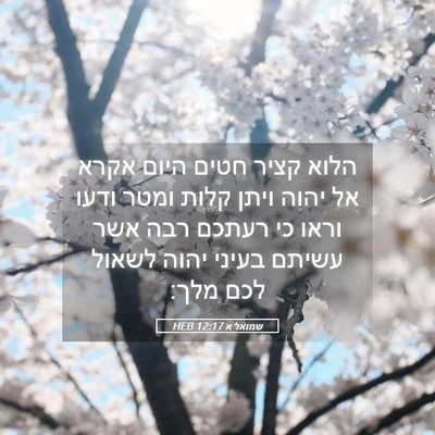 Picture 05 - שמואל א 12:17 HEB - הלוא קציר חטים היום אקרא אל - Bible Verse Picture