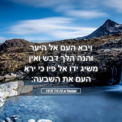 Picture 05 - שמואל א 14:26 HEB - ויבא העם אל היער והנה הלך - Bible Verse Picture