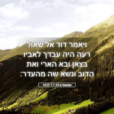 Picture 05 - שמואל א 17:34 HEB - ויאמר דוד אל שאול רעה היה - Bible Verse Picture