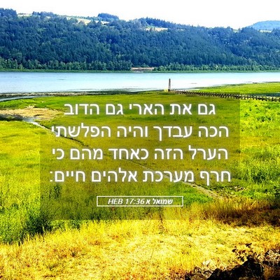 Picture 05 - שמואל א 17:36 HEB - גם את הארי גם הדוב הכה עבדך - Bible Verse Picture