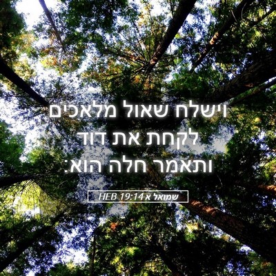Picture 05 - שמואל א 19:14 HEB - וישלח שאול מלאכים לקחת את - Bible Verse Picture
