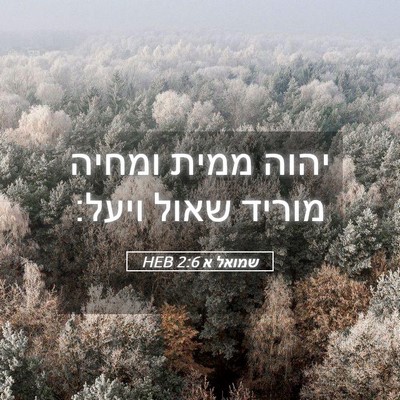 Picture 05 - שמואל א 2:6 HEB - יהוה ממית ומחיה מוריד שאול - Bible Verse Picture