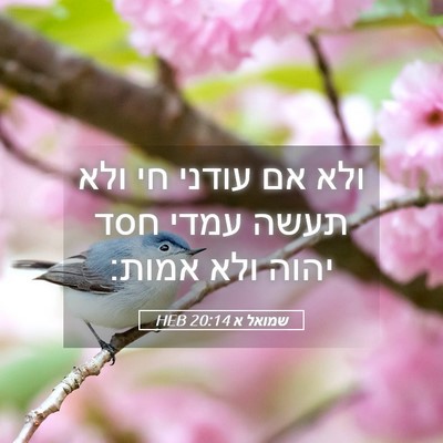 Picture 05 - שמואל א 20:14 HEB - ולא אם עודני חי ולא תעשה - Bible Verse Picture