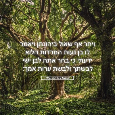 Picture 05 - שמואל א 20:30 HEB - ויחר אף שאול ביהונתן ויאמר - Bible Verse Picture