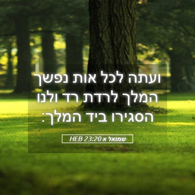 Picture 05 - שמואל א 23:20 HEB - ועתה לכל אות נפשך המלך לרדת - Bible Verse Picture