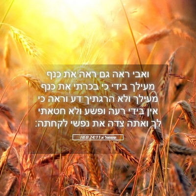 Picture 05 - שמואל א 24:11 HEB - ואבי ראה גם ראה את כנף - Bible Verse Picture