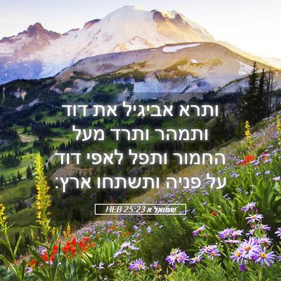 Picture 05 - שמואל א 25:23 HEB - ותרא אביגיל את דוד ותמהר - Bible Verse Picture