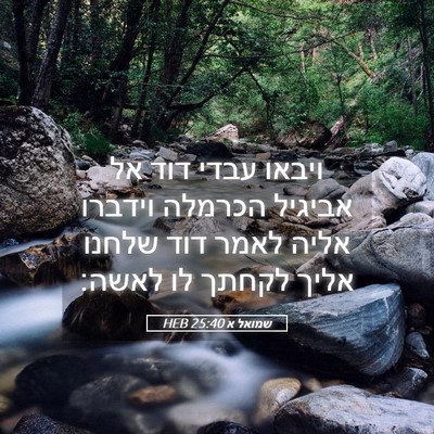Picture 05 - שמואל א 25:40 HEB - ויבאו עבדי דוד אל אביגיל - Bible Verse Picture