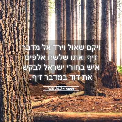 Picture 05 - שמואל א 26:2 HEB - ויקם שאול וירד אל מדבר זיף - Bible Verse Picture