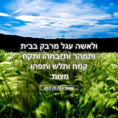 Picture 05 - שמואל א 28:24 HEB - ולאשה עגל מרבק בבית ותמהר - Bible Verse Picture