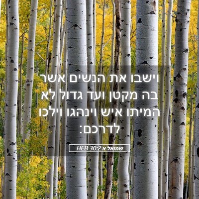 Picture 05 - שמואל א 30:2 HEB - וישבו את הנשים אשר בה מקטן - Bible Verse Picture