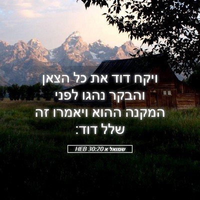 Picture 05 - שמואל א 30:20 HEB - ויקח דוד את כל הצאן והבקר - Bible Verse Picture