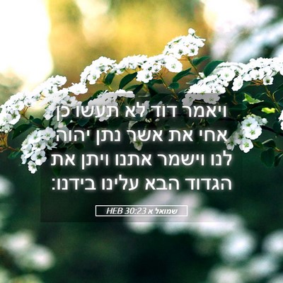 Picture 05 - שמואל א 30:23 HEB - ויאמר דוד לא תעשו כן אחי את - Bible Verse Picture