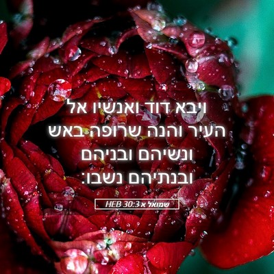 Picture 05 - שמואל א 30:3 HEB - ויבא דוד ואנשיו אל העיר - Bible Verse Picture