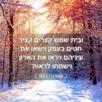 Picture 05 - שמואל א 6:13 HEB - ובית שמש קצרים קציר חטים - Bible Verse Picture
