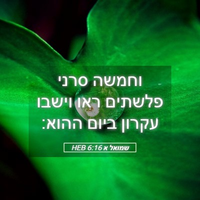 Picture 05 - שמואל א 6:16 HEB - וחמשה סרני פלשתים ראו - Bible Verse Picture