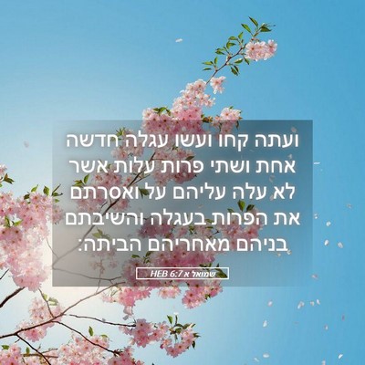 Picture 05 - שמואל א 6:7 HEB - ועתה קחו ועשו עגלה חדשה אחת - Bible Verse Picture