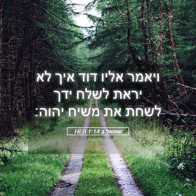 Picture 05 - שמואל ב 1:14 HEB - ויאמר אליו דוד איך לא יראת - Bible Verse Picture