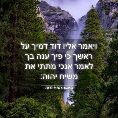 Picture 05 - שמואל ב 1:16 HEB - ויאמר אליו דוד דמיך על ראשך - Bible Verse Picture