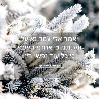 Picture 05 - שמואל ב 1:9 HEB - ויאמר אלי עמד נא עלי ומתתני - Bible Verse Picture