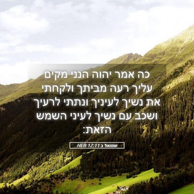 Picture 05 - שמואל ב 12:11 HEB - כה אמר יהוה הנני מקים עליך - Bible Verse Picture