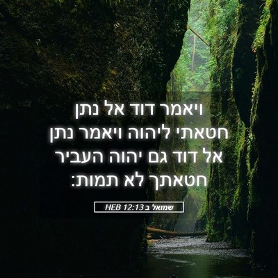 Picture 05 - שמואל ב 12:13 HEB - ויאמר דוד אל נתן חטאתי - Bible Verse Picture