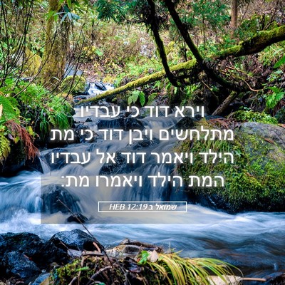 Picture 05 - שמואל ב 12:19 HEB - וירא דוד כי עבדיו מתלחשים - Bible Verse Picture