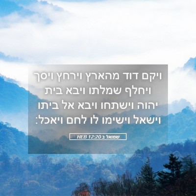 Picture 05 - שמואל ב 12:20 HEB - ויקם דוד מהארץ וירחץ ויסך - Bible Verse Picture