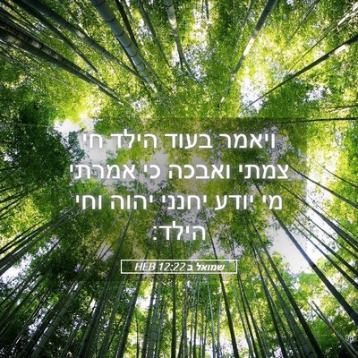 Picture 05 - שמואל ב 12:22 HEB - ויאמר בעוד הילד חי צמתי - Bible Verse Picture