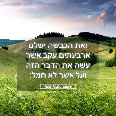 Picture 05 - שמואל ב 12:6 HEB - ואת הכבשה ישלם ארבעתים עקב - Bible Verse Picture