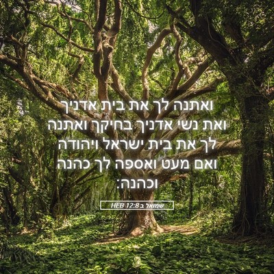 Picture 05 - שמואל ב 12:8 HEB - ואתנה לך את בית אדניך ואת - Bible Verse Picture