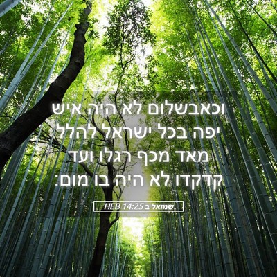 Picture 05 - שמואל ב 14:25 HEB - וכאבשלום לא היה איש יפה בכל - Bible Verse Picture