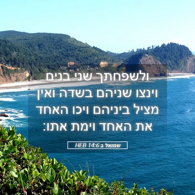 Picture 05 - שמואל ב 14:6 HEB - ולשפחתך שני בנים וינצו - Bible Verse Picture