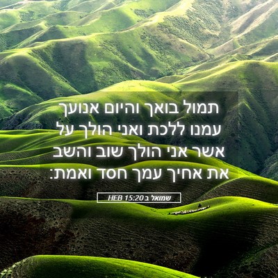 Picture 05 - שמואל ב 15:20 HEB - תמול בואך והיום אנועך עמנו - Bible Verse Picture