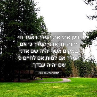 Picture 05 - שמואל ב 15:21 HEB - ויען אתי את המלך ויאמר חי - Bible Verse Picture