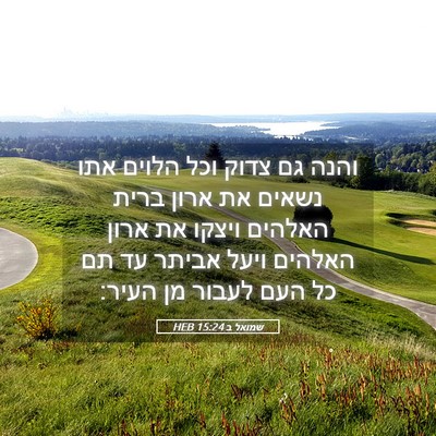 Picture 05 - שמואל ב 15:24 HEB - והנה גם צדוק וכל הלוים אתו - Bible Verse Picture