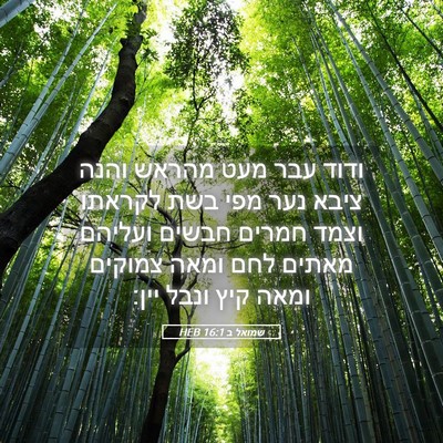 Picture 05 - שמואל ב 16:1 HEB - ודוד עבר מעט מהראש והנה - Bible Verse Picture