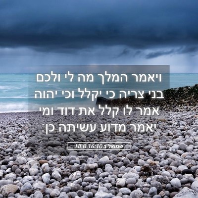 Picture 05 - שמואל ב 16:10 HEB - ויאמר המלך מה לי ולכם בני - Bible Verse Picture