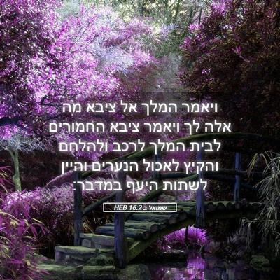 Picture 05 - שמואל ב 16:2 HEB - ויאמר המלך אל ציבא מה אלה - Bible Verse Picture