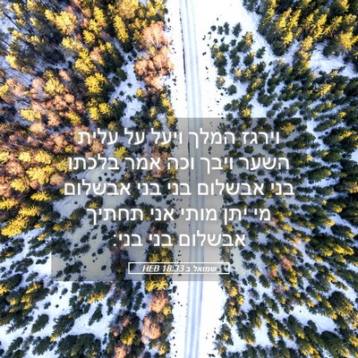 Picture 05 - שמואל ב 18:33 HEB - וירגז המלך ויעל על עלית - Bible Verse Picture