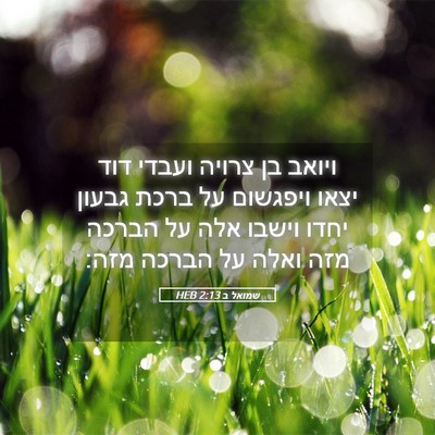 Picture 05 - שמואל ב 2:13 HEB - ויואב בן צרויה ועבדי דוד - Bible Verse Picture