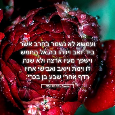 Picture 05 - שמואל ב 20:10 HEB - ועמשא לא נשמר בחרב אשר ביד - Bible Verse Picture