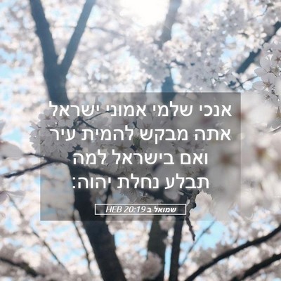 Picture 05 - שמואל ב 20:19 HEB - אנכי שלמי אמוני ישראל אתה - Bible Verse Picture